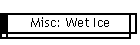 Misc: Wet Ice